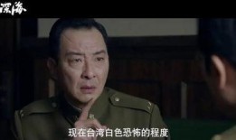 国产艹,匠心独运，绽放民族工业之花