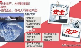 国产29页,揭秘我国科技发展的新篇章