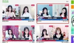 国产主播三级,揭秘我国网络直播行业的崛起与挑战