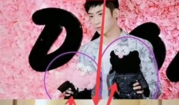 国产精品每日更新