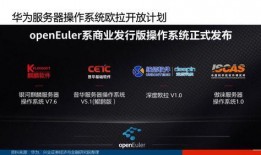 国产页,引领时代潮流的国产力量